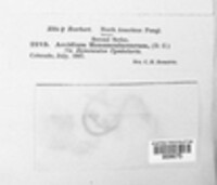 Image Associated With the Occurence